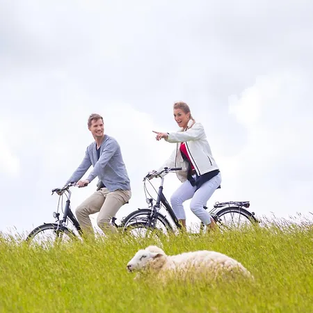 Ankerplatz Fuer Bis Zu 4 Gaeste Kleinkind Apartment Dorum