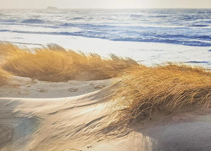 Ankerplatz Fuer Bis Zu 4 Gaeste Kleinkind דורום